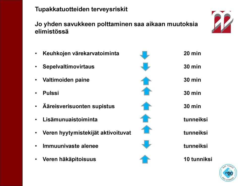30 min Pulssi 30 min Ääreisverisuonten supistus 30 min Lisämunuaistoiminta tunneiksi Veren