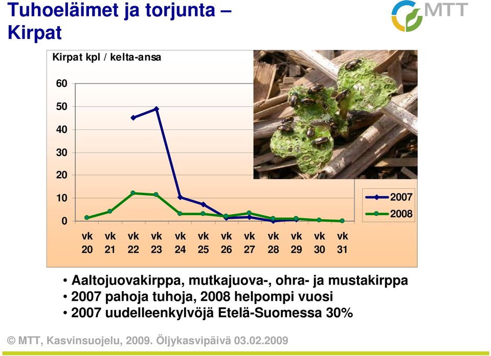 Aaltojuovakirppa, mutkajuova-, ohra- ja mustakirppa 2007 pahoja