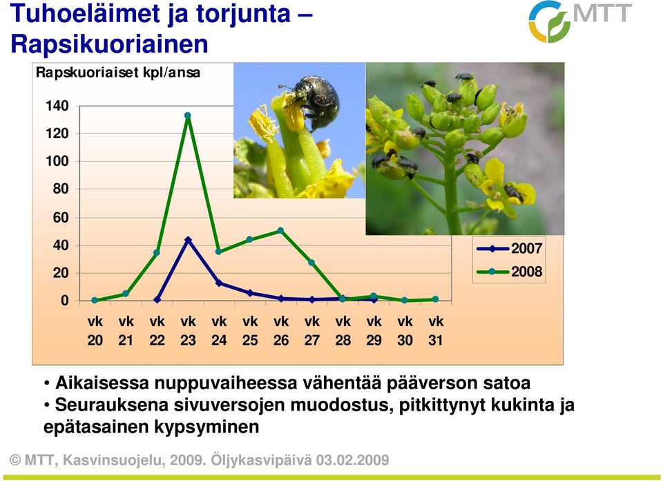 30 31 Aikaisessa nuppuvaiheessa vähentää pääverson satoa