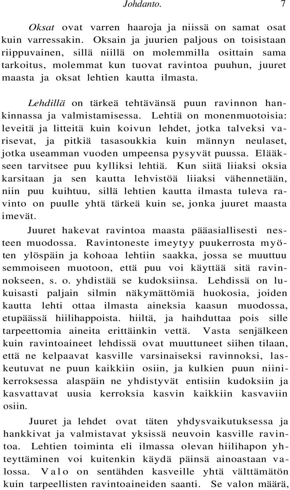 Lehdillä on tärkeä tehtävänsä puun ravinnon hankinnassa ja valmistamisessa.