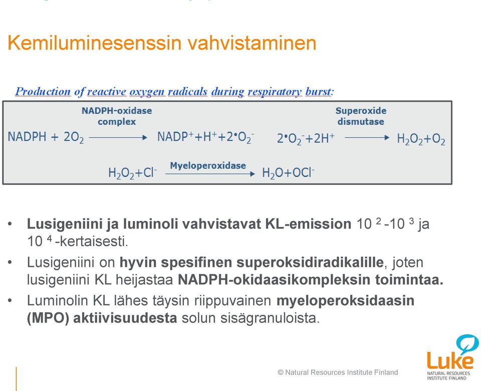 Lusigeniini on hyvin spesifinen superoksidiradikalille, joten lusigeniini KL