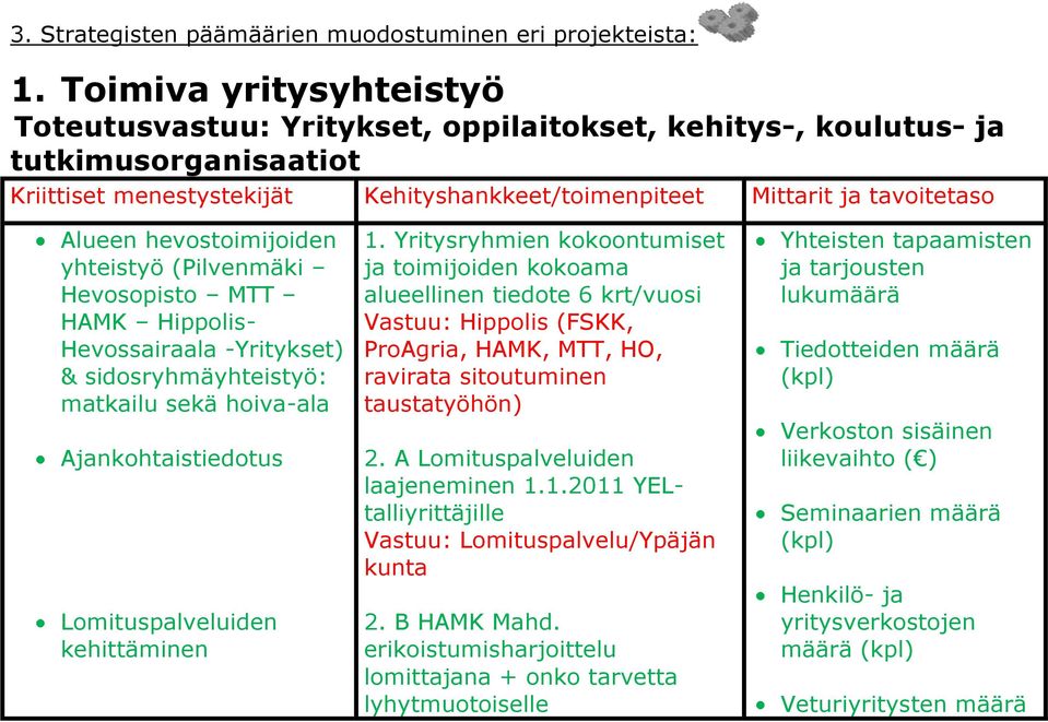 hevostoimijoiden yhteistyö (Pilvenmäki Hevosopisto MTT HAMK Hippolis- Hevossairaala -Yritykset) & sidosryhmäyhteistyö: matkailu sekä hoiva-ala Ajankohtaistiedotus Lomituspalveluiden kehittäminen 1.