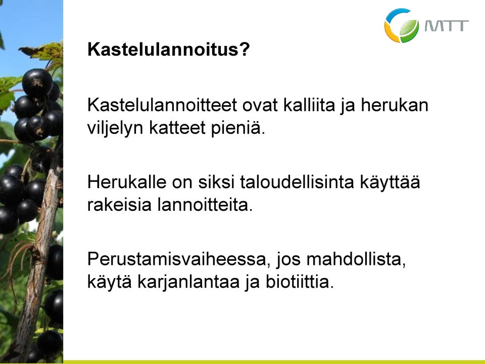 katteet pieniä.