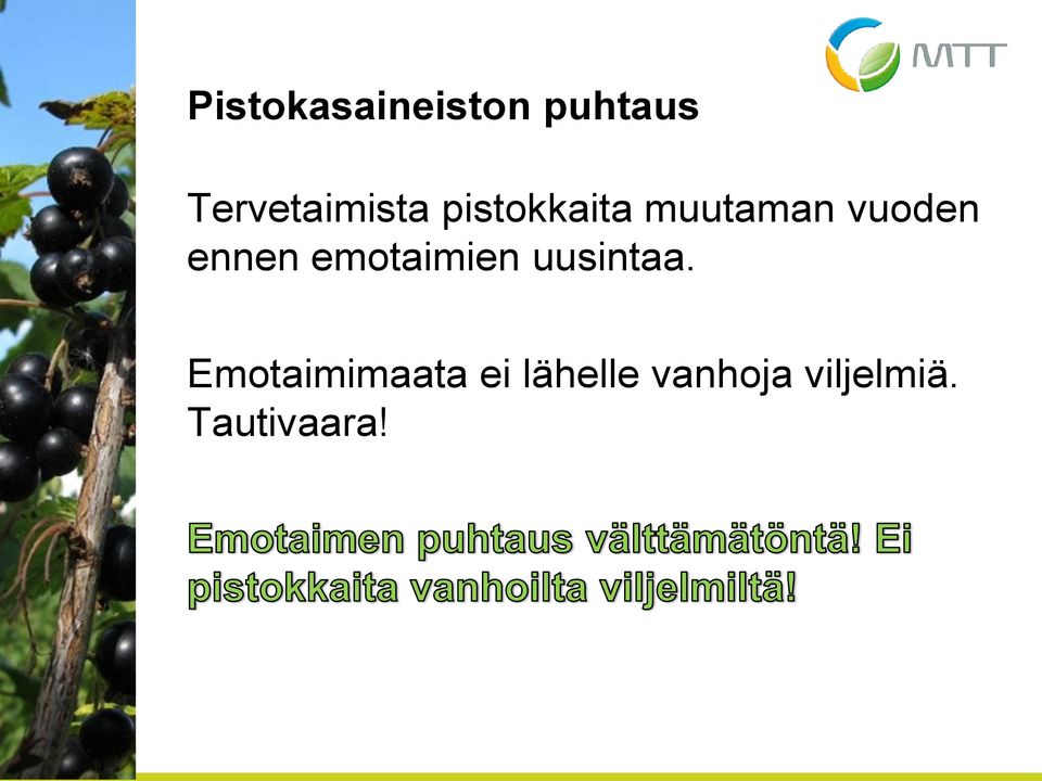 vuoden ennen emotaimien uusintaa.