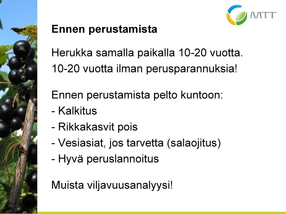 Ennen perustamista pelto kuntoon: - Kalkitus - Rikkakasvit