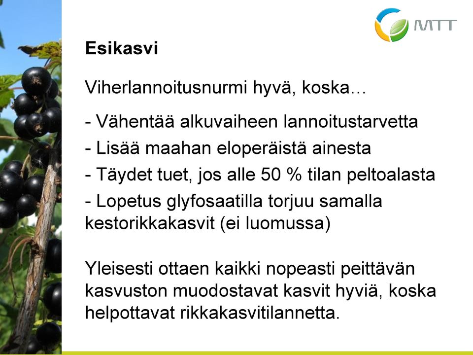 Lopetus glyfosaatilla torjuu samalla kestorikkakasvit (ei luomussa) Yleisesti ottaen