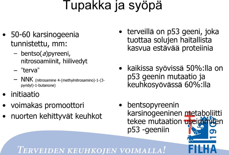 keuhkot terveillä on p53 geeni, joka tuottaa solujen haitallista kasvua estävää proteiinia kaikissa syövissä 50%:lla