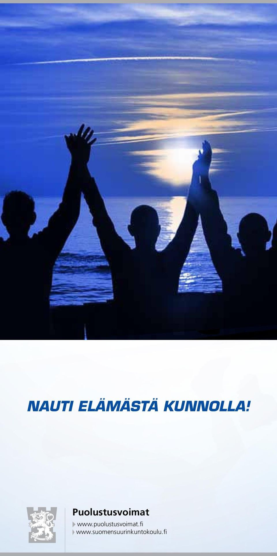 puolustusvoimat.fi www.