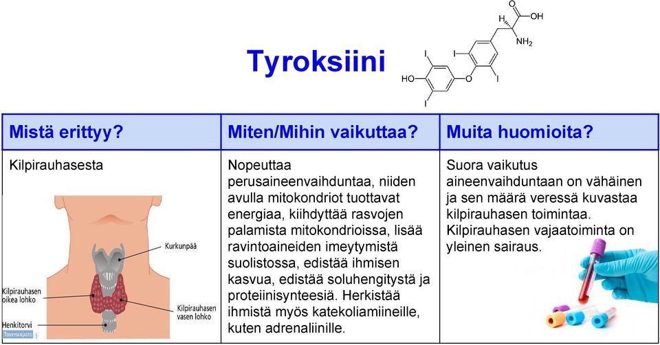 soluhengitystä ja proteiinisynteesiä. Herkistää ihmistä myös katekoliamiineille, kuten adrenaliinille.