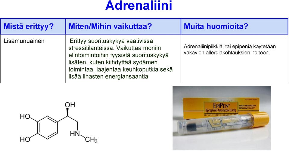 kiihdyttää sydämen toimintaa, laajentaa keuhkoputkia sekä lisää lihasten