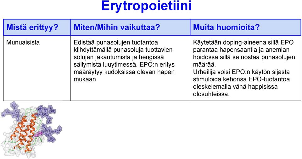 EPO:n eritys määräytyy kudoksissa olevan hapen mukaan Käytetään doping-aineena sillä EPO parantaa