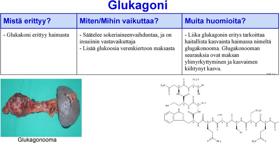 glukagonin eritys tarkoittaa haitallista kasvainta haimassa nimeltä glugakonooma.