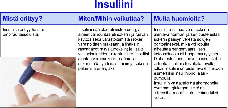 valkuaisaineiden rakentumista. Insuliini alentaa verensokeria lisäämällä sokerin pääsyä lihassoluihin ja sokerin palamista energiaksi.