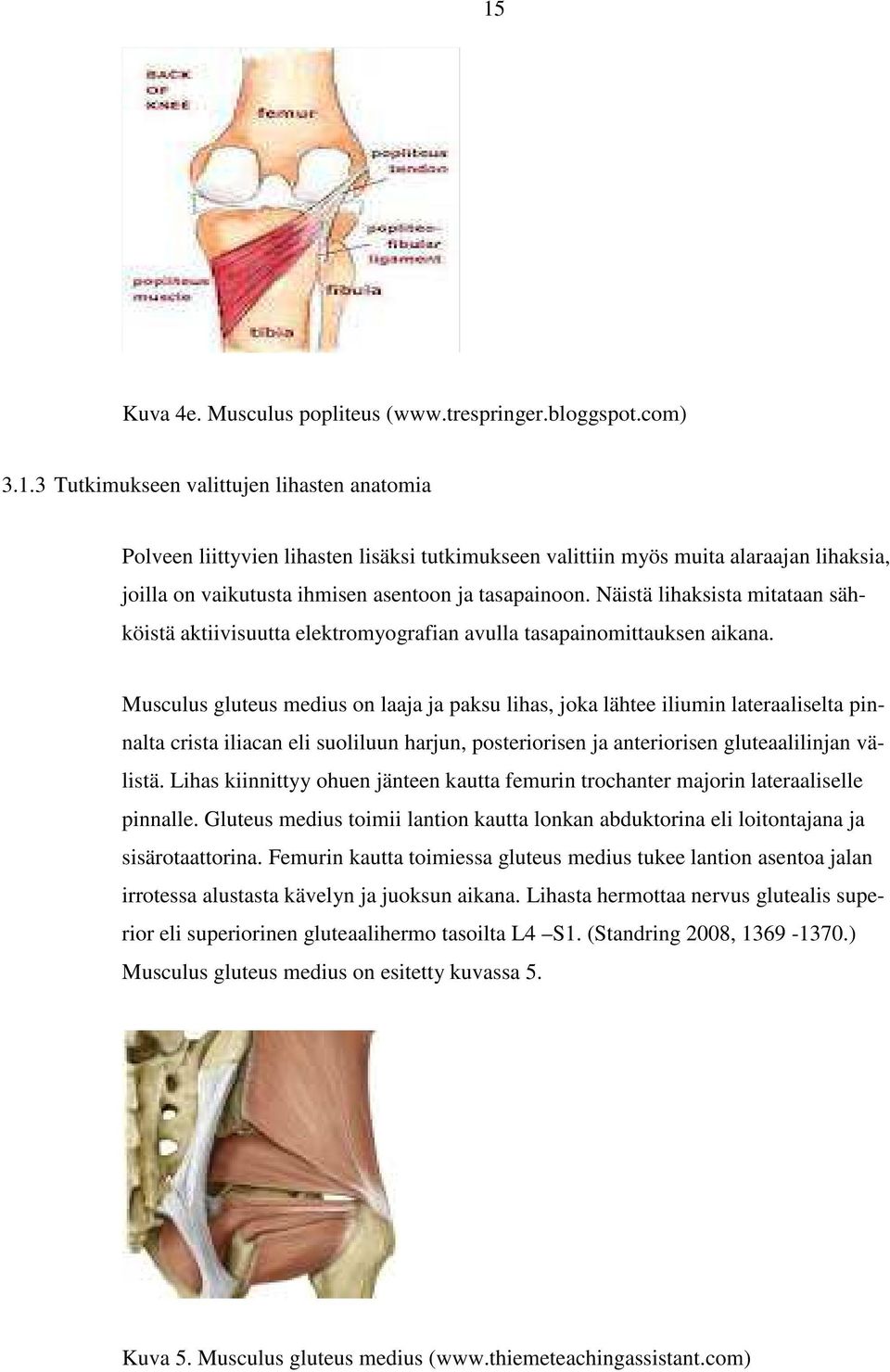 Musculus gluteus medius on laaja ja paksu lihas, joka lähtee iliumin lateraaliselta pinnalta crista iliacan eli suoliluun harjun, posteriorisen ja anteriorisen gluteaalilinjan välistä.