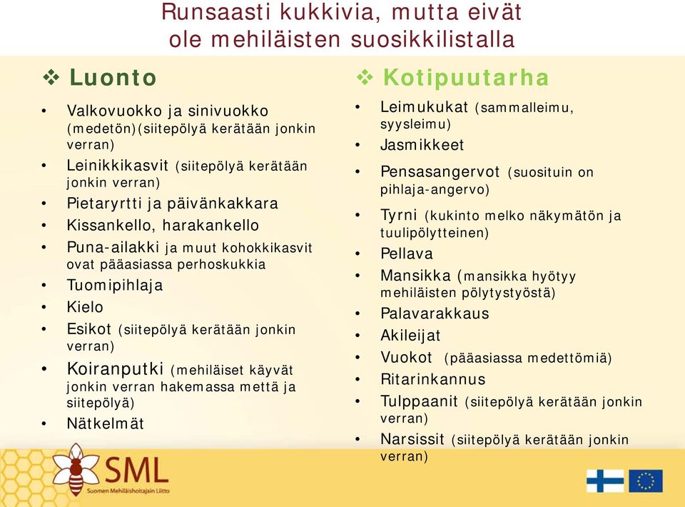 Koiranputki (mehiläiset käyvät jonkin verran hakemassa mettä ja siitepölyä) Nätkelmät Leimukukat (sammalleimu, syysleimu) Jasmikkeet Pensasangervot (suosituin on pihlaja-angervo) Tyrni (kukinto melko