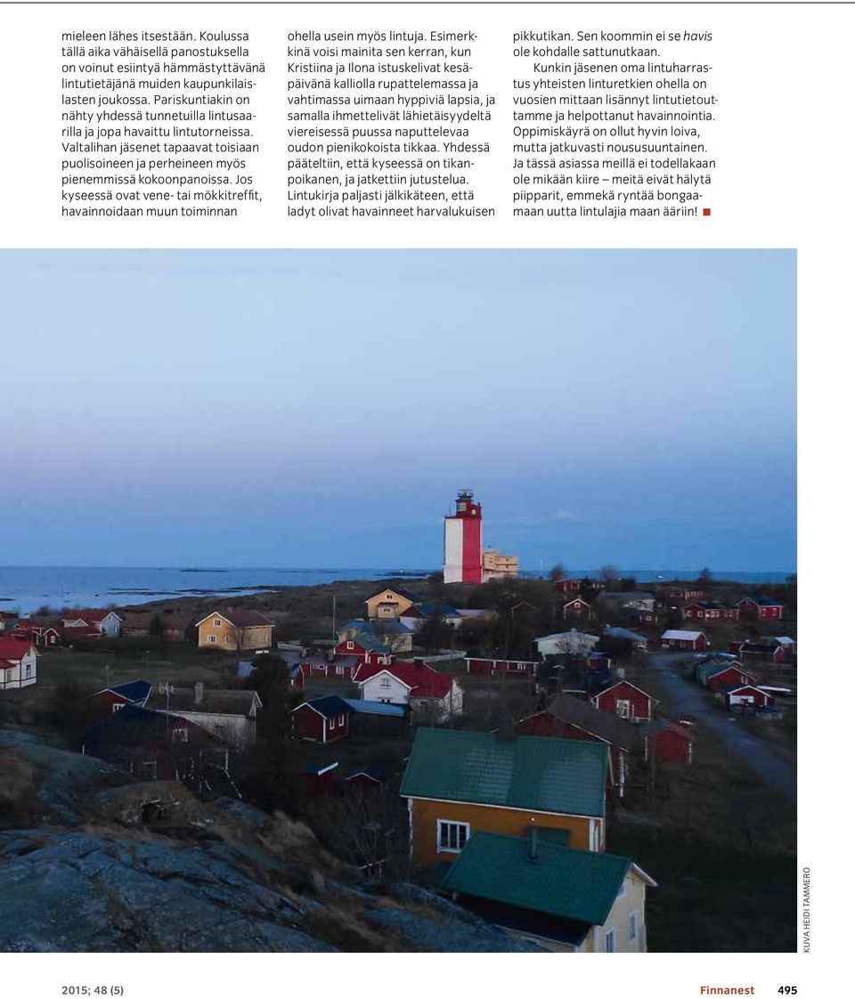 Jos kyseessä ovat vene- tai mökkitreffit, havainnoidaan muun toiminnan ohella usein myös lintuja.