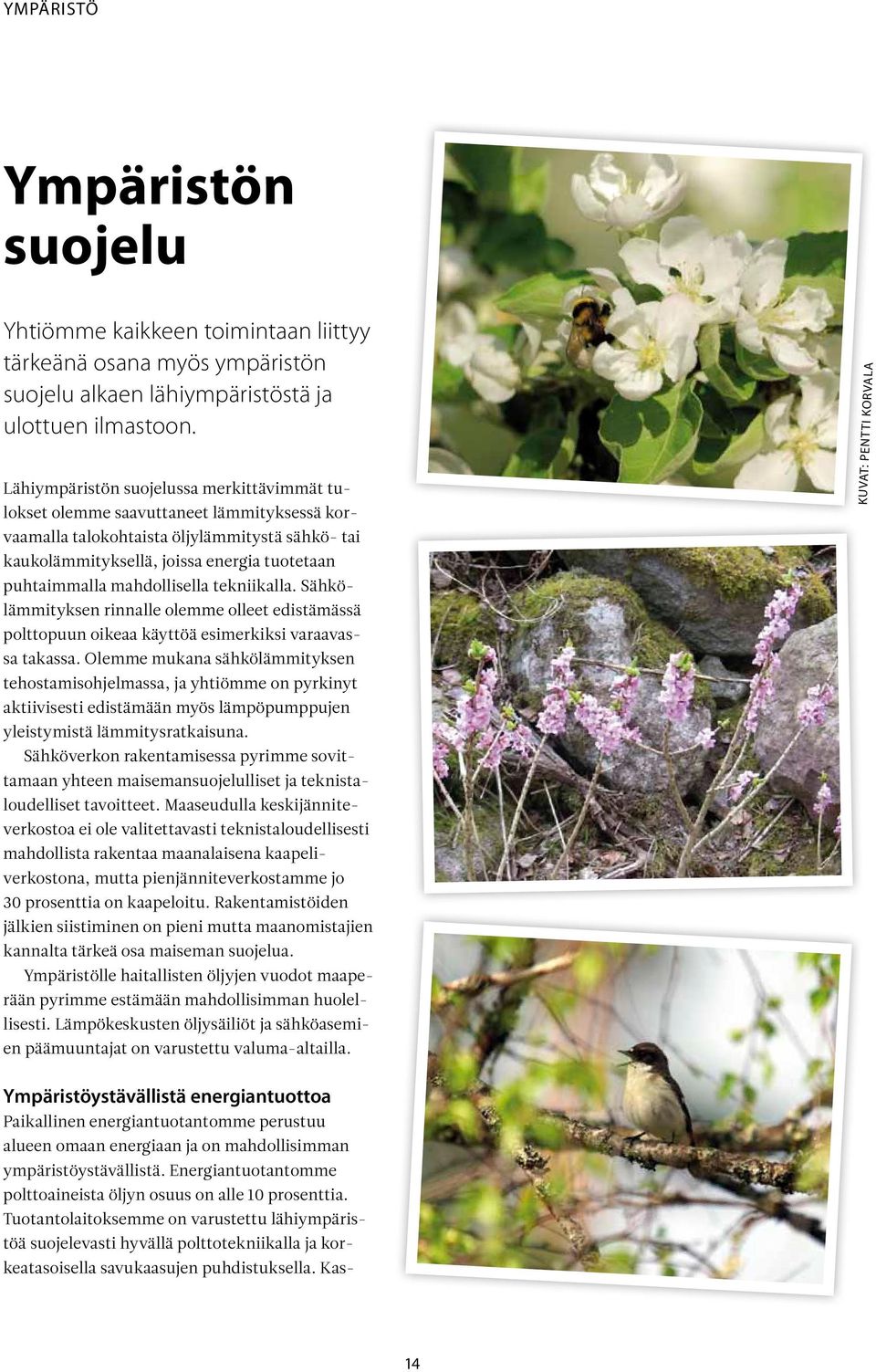mahdollisella tekniikalla. Sähkölämmityksen rinnalle olemme olleet edistämässä polttopuun oikeaa käyttöä esimerkiksi varaavassa takassa.