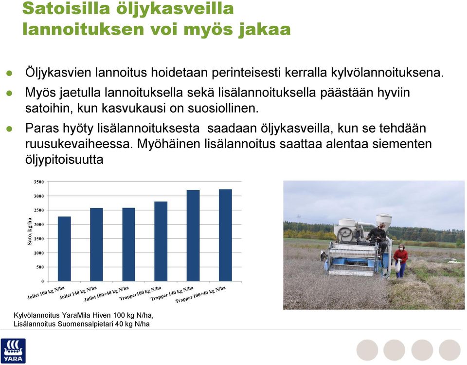 Myös jaetulla lannoituksella sekä lisälannoituksella päästään hyviin satoihin, kun kasvukausi on suosiollinen.