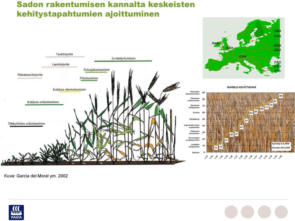 kehitystapahtumien