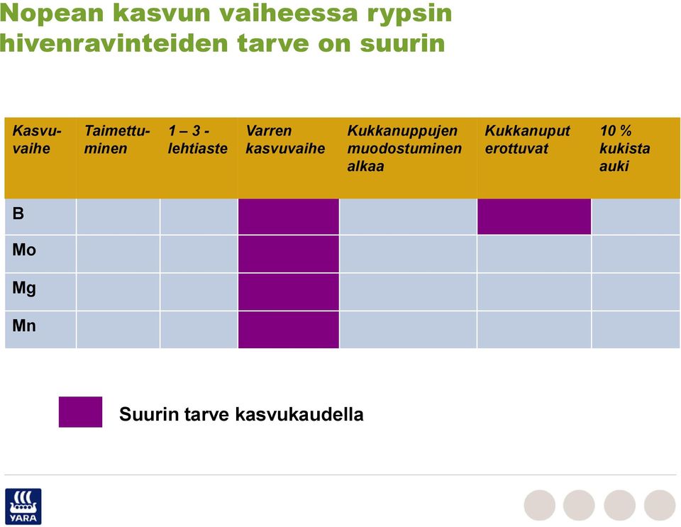 kasvuvaihe Kukkanuppujen muodostuminen alkaa Kukkanuput