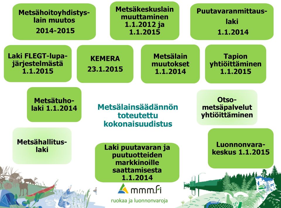 1.2015 Metsähallituslaki Metsätuholaki 1.1.2014 Metsälainsäädännön toteutettu kokonaisuudistus Otsometsäpalvelut