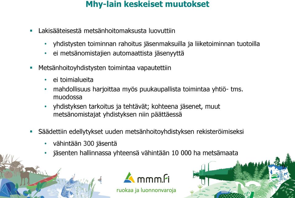 puukaupallista toimintaa yhtiö- tms.