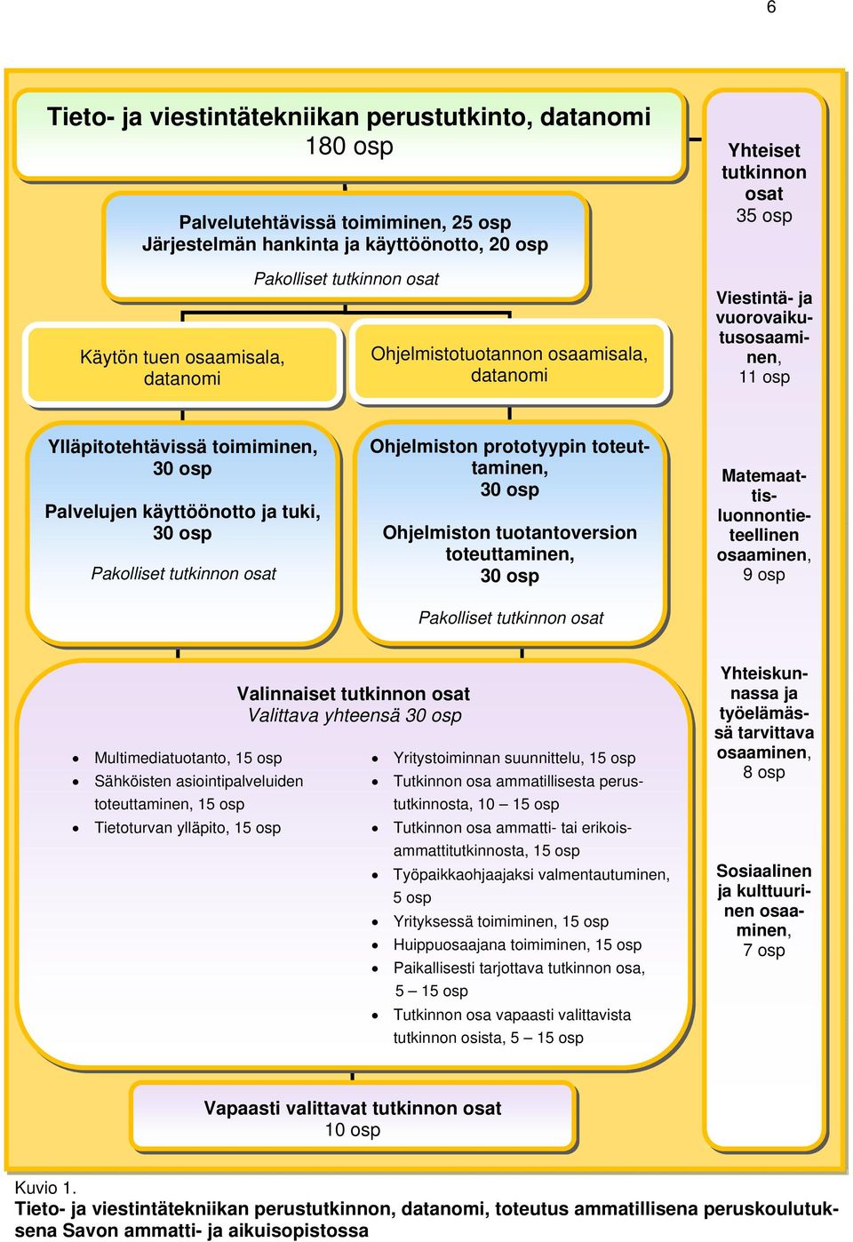 Pakolliset tutkinnon osat Ohjelmiston prototyypin toteuttaminen, 30 osp Ohjelmiston tuotantoversion toteuttaminen, 30 osp Pakolliset tutkinnon osat Matemaattisluonnontieteellinen osaaminen, 9 osp