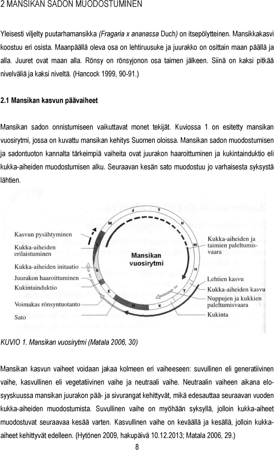 (Hancock 1999, 90-91.) 2.1 Mansikan kasvun päävaiheet Mansikan sadon onnistumiseen vaikuttavat monet tekijät.