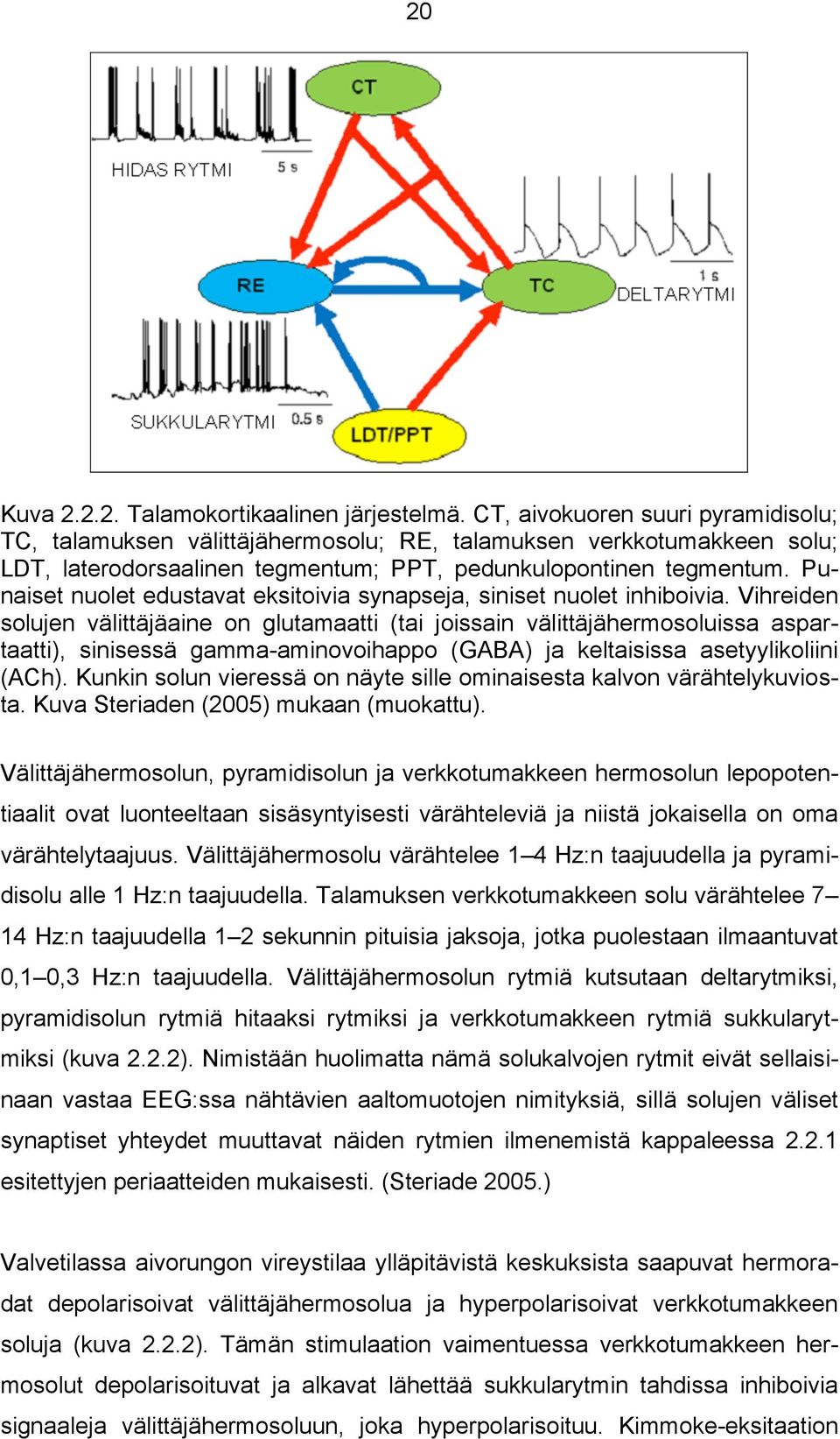 Punaiset nuolet edustavat eksitoivia synapseja, siniset nuolet inhiboivia.