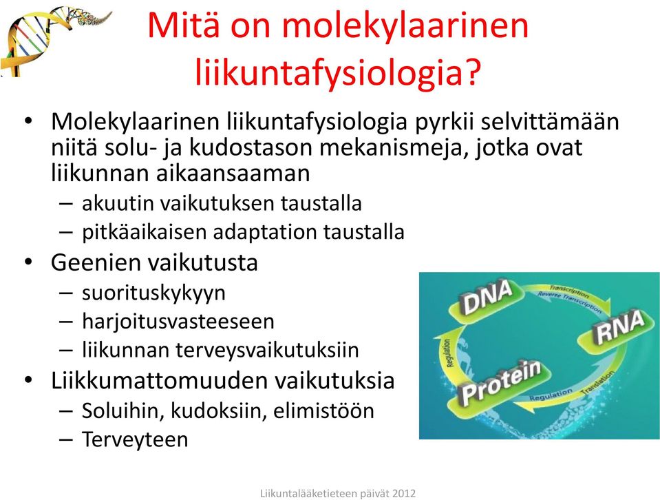 ovat liikunnan aikaansaaman akuutin vaikutuksen taustalla pitkäaikaisen adaptation taustalla