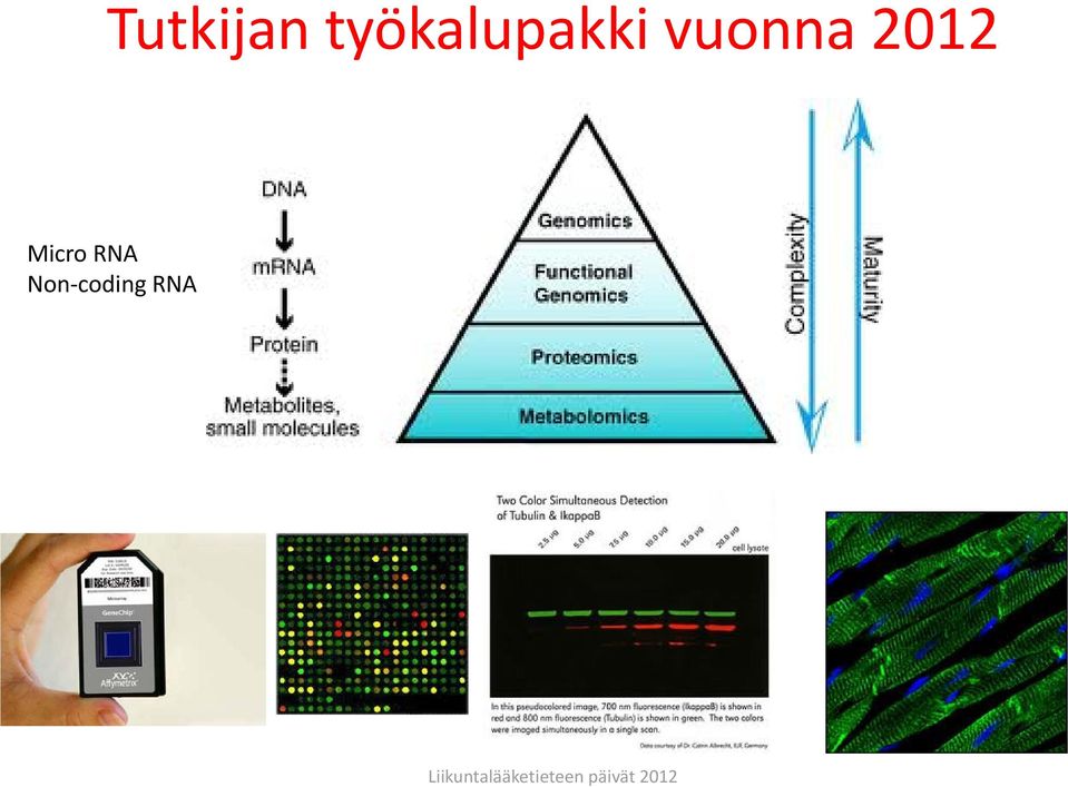 vuonna 2012