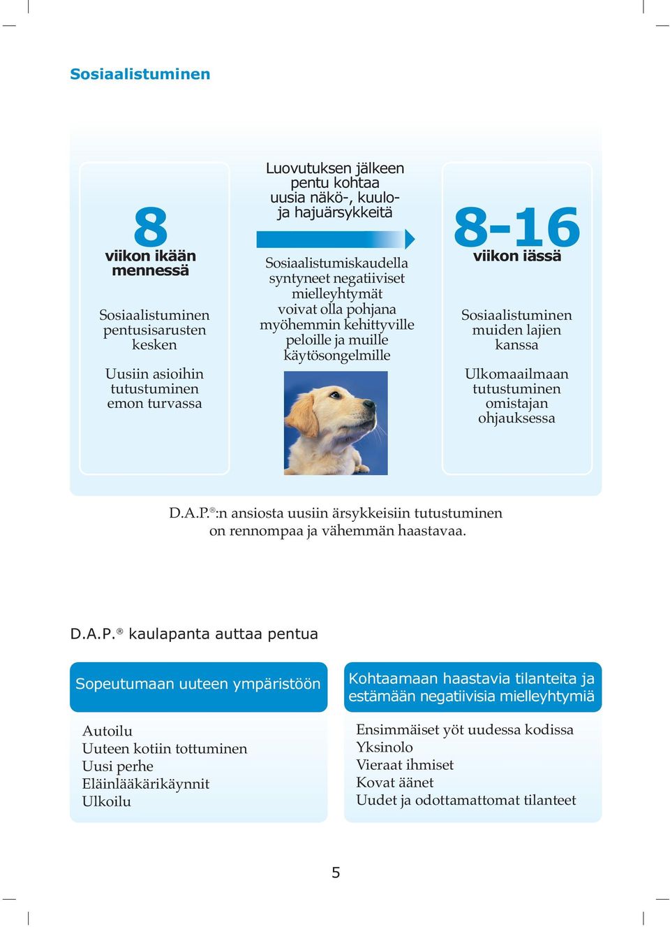 Ulkomaailmaan tutustuminen omistajan ohjauksessa D.A.P.