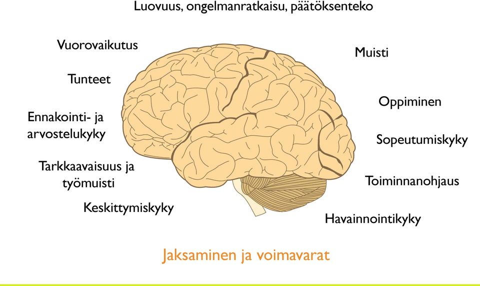 työmuisti Keskittymiskyky Muisti Oppiminen