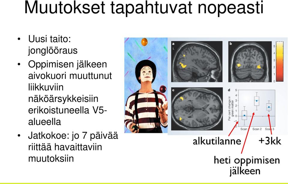 näköärsykkeisiin erikoistuneella V5- alueella Jatkokoe: jo 7