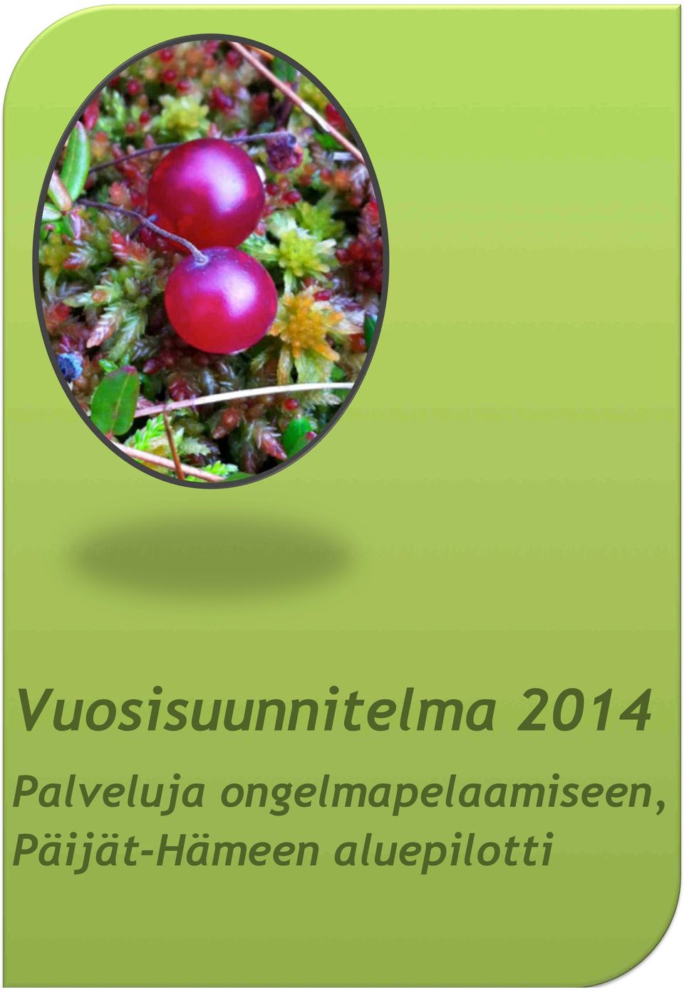 ongelmapelaamiseen,