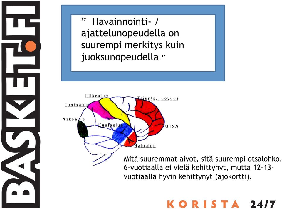 Mitä suuremmat aivot, sitä suurempi otsalohko.