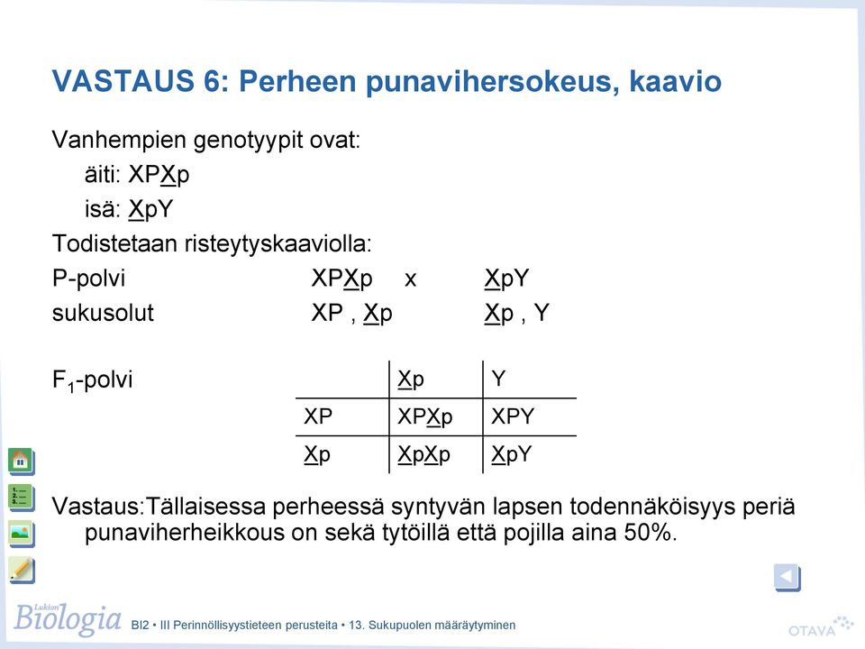 Xp Xp, Y Xp Y XP XPXp XPY Xp XpXp XpY Vastaus:Tällaisessa perheessä syntyvän