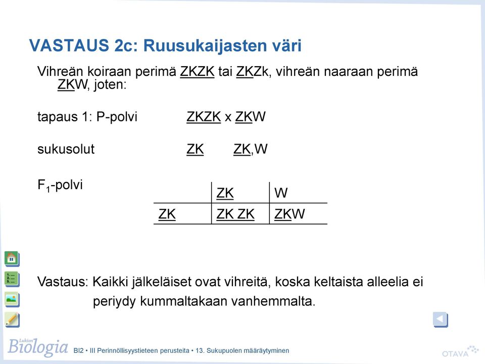 ZKW sukusolut ZK ZK,W ZK W ZK ZK ZK ZKW Vastaus: Kaikki jälkeläiset