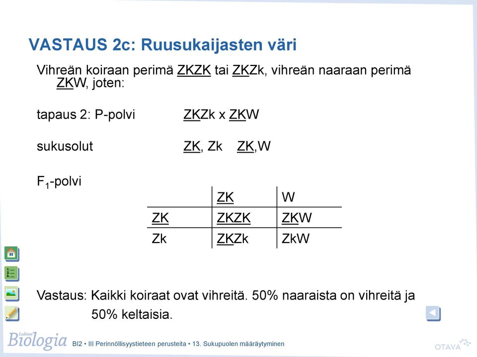 ZKW sukusolut ZK, Zk ZK,W ZK W ZK ZKZK ZKW Zk ZKZk ZkW Vastaus: