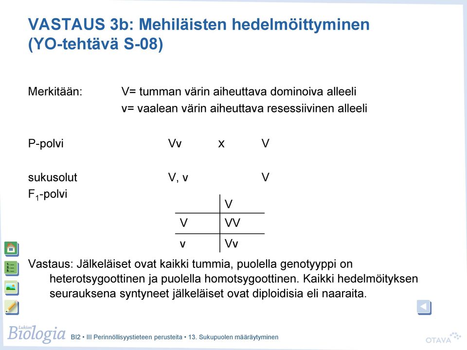 V v VV Vv Vastaus: Jälkeläiset ovat kaikki tummia, puolella genotyyppi on heterotsygoottinen ja