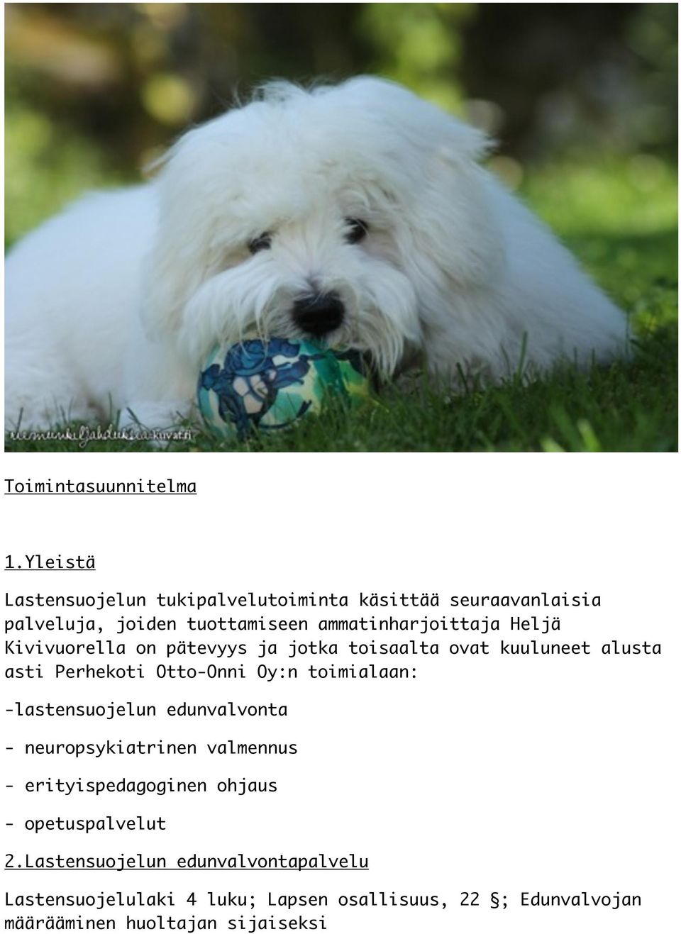 Heljä Kivivuorella on pätevyys ja jotka toisaalta ovat kuuluneet alusta asti Perhekoti Otto-Onni Oy:n toimialaan: