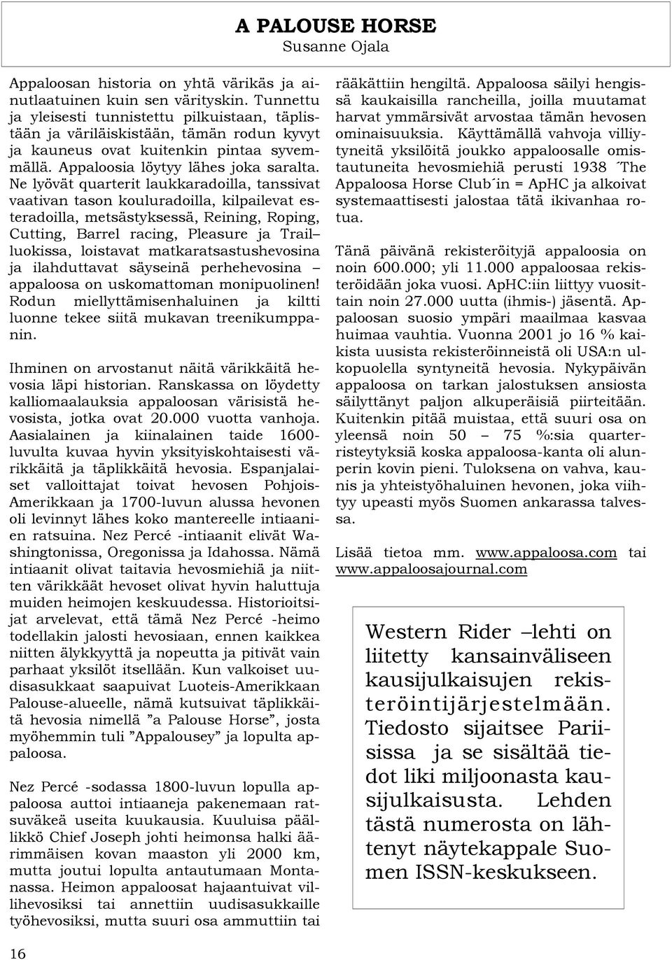 Foundation Appaloosa-linjaisia hevosia joihin on risteytetty hyvin vähän quarter- ja täysiverihevosia.