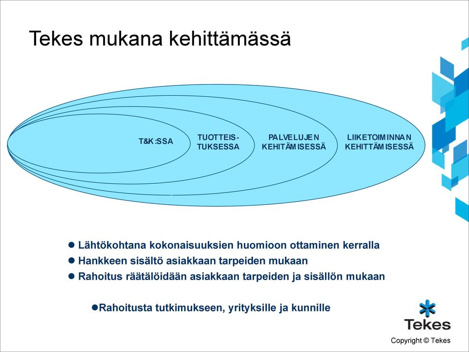 huomioon ottaminen kerralla Hankkeen sisältö asiakkaan tarpeiden mukaan Rahoitus
