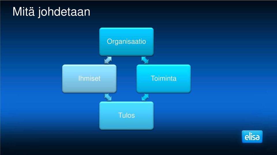 Organisaatio