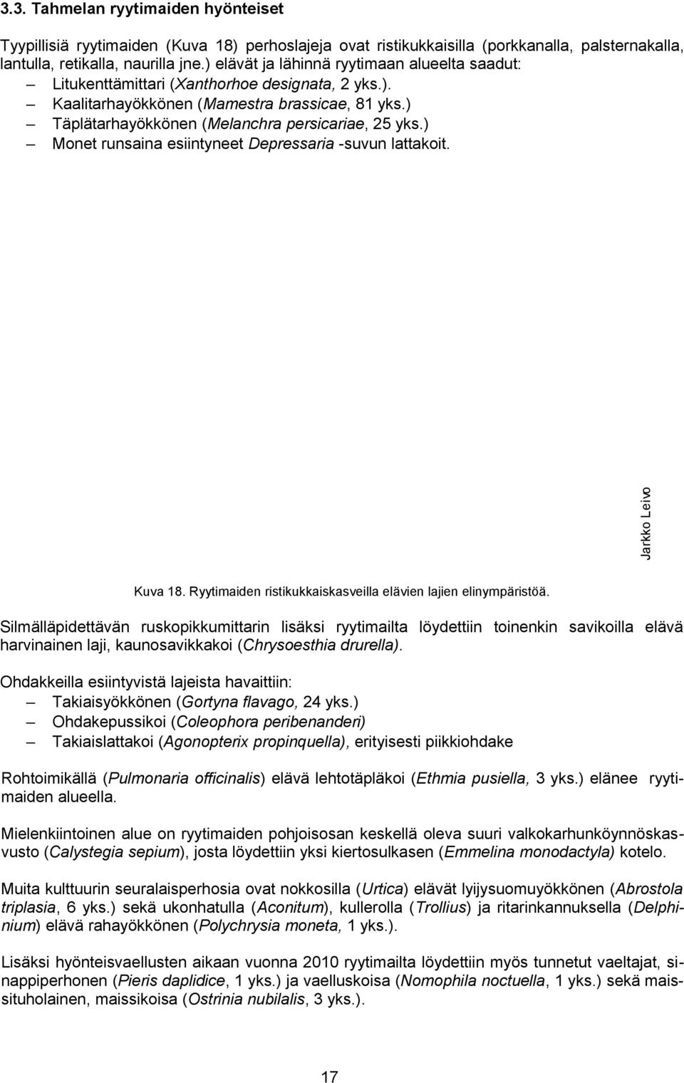 ) Monet runsaina esiintyneet Depressaria -suvun lattakoit. Jarkko Leivo Kuva 18. Ryytimaiden ristikukkaiskasveilla elävien lajien elinympäristöä.