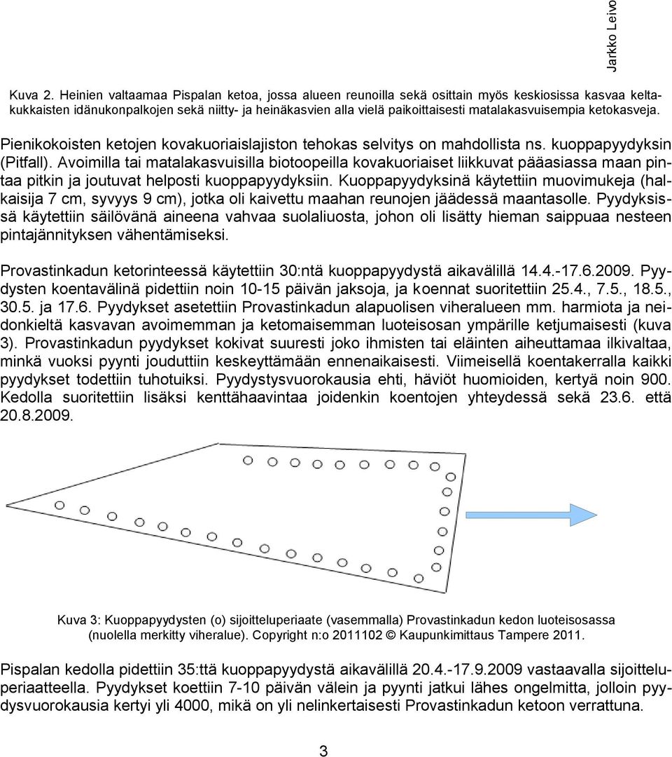 matalakasvuisempia ketokasveja. Pienikokoisten ketojen kovakuoriaislajiston tehokas selvitys on mahdollista ns. kuoppapyydyksin (Pitfall).