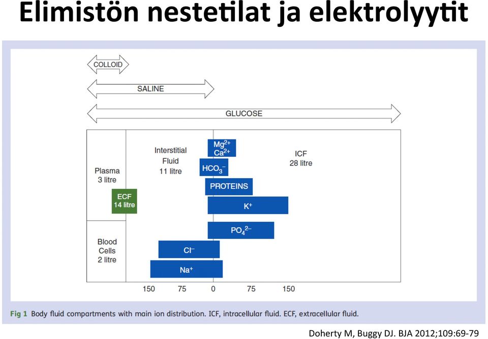 elektrolyy*t