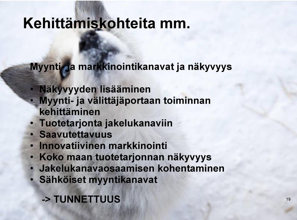 välittäjäportaan toiminnan kehittäminen Tuotetarjonta jakelukanaviin