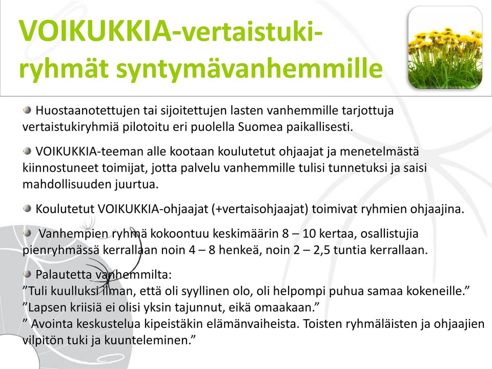 Koulutetut VOIKUKKIA-ohjaajat (+vertaisohjaajat) toimivat ryhmien ohjaajina.