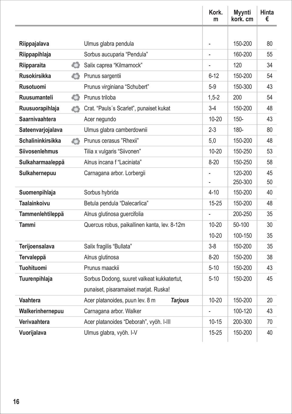 Prunus virginiana Schubert 5-9 150-300 43 Ruusumanteli Prunus triloba 1,5-2 200 54 Ruusuorapihlaja Crat.